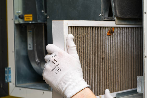 Best Dryer Vent Cleaning Services  in Varnville, SC